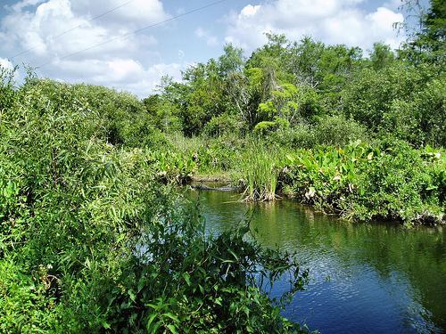 Big Cypress National Preserve